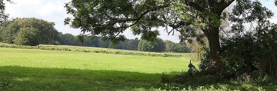 Pension & Gasthof Storchennest Gross Quassow Экстерьер фото